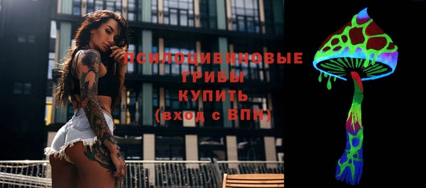 стаф Краснослободск