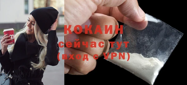 стаф Краснослободск