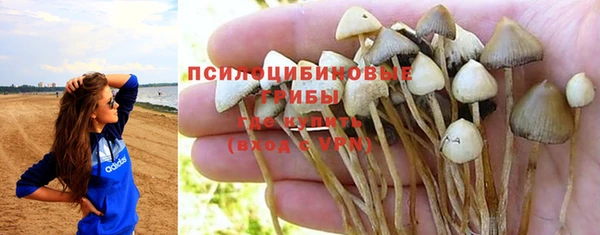 a pvp Красноперекопск