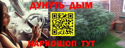 сатива Абакан
