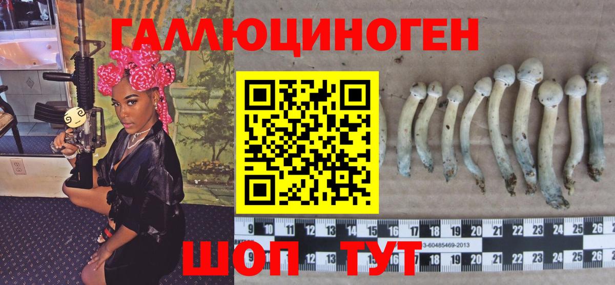 Псилоцибиновые грибы Cubensis  Вход с VPN  Минусинск  Псилоцибиновые грибы прущие грибы 