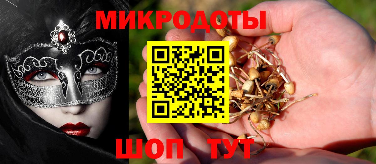 Псилоцибиновые грибы Psilocybine cubensis Минусинск