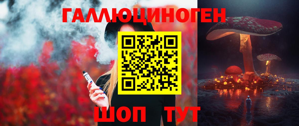 Галлюциногенные грибы Psilocybine cubensis Минусинск