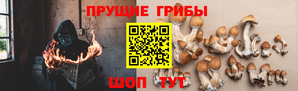 Минусинск  Галлюциногенные грибы ЛСД  Вход с VPN  Галлюциногенные грибы ЛСД 