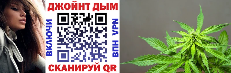 кракен зеркало  Минусинск  Конопля Amnesia 